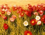 Shirley Novak Poppies Make Me Happy painting